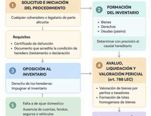 División Judicial de Herencia en España: Guía Paso a Paso (LEC)
